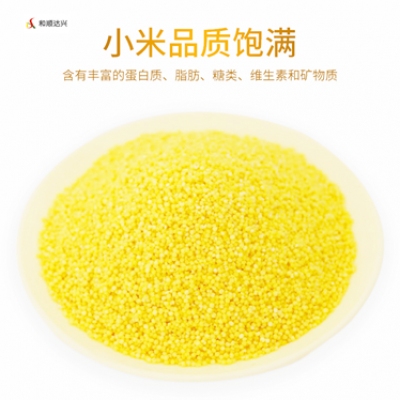 和顺达兴【情益浓农】黄小米2.5KG